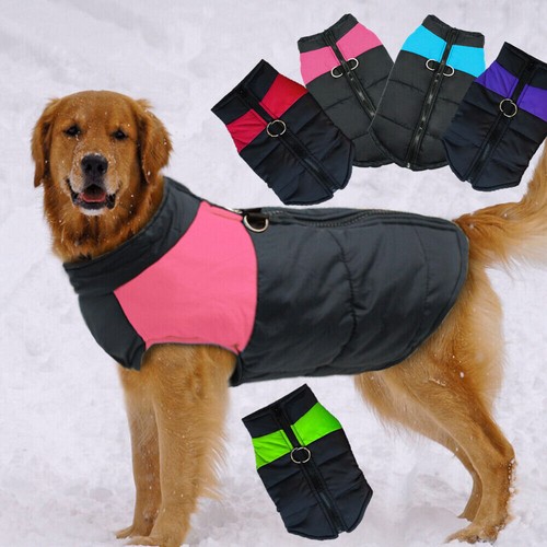 Big dogs clothes winter - big,