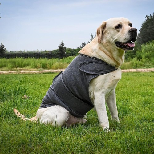 Pet emotional dog clothing - clothing,