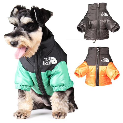 Large winter pet - winter,