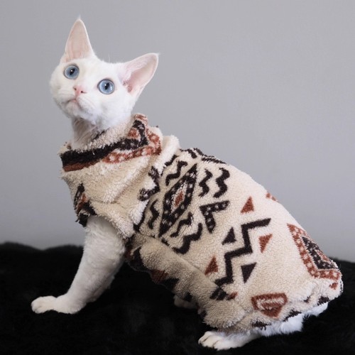 Warm coral velvet hairless cat - warm,