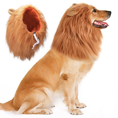 Lion mane costume - lion, medium