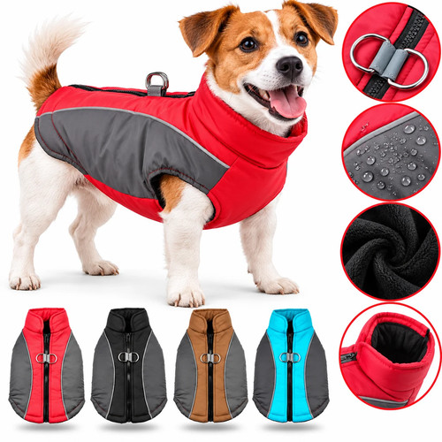 Winter dog clothes warm - winter,