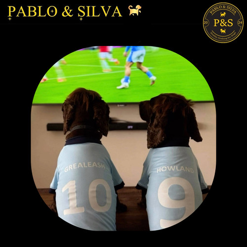 Dog football shirt manchester - football,