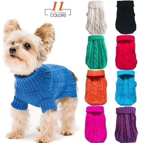 Puppy dog pet - puppy, winter