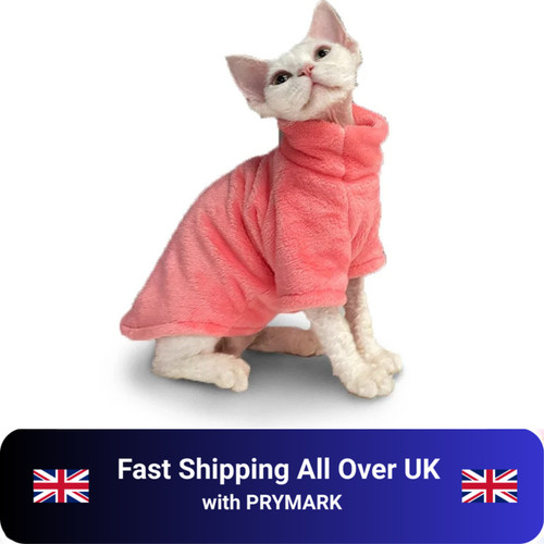 Hairless cat pet - hairless, sweater