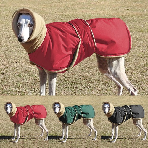 Winter pet dog - high, collar