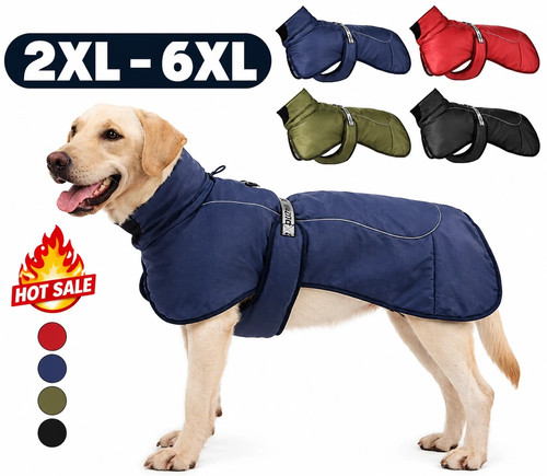 Large dog clothes - dog,