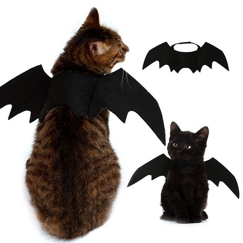 Pet cat dog bat - pet, costume