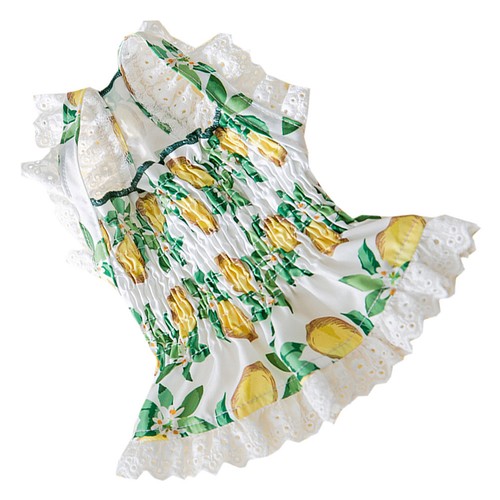 Fashionable reusable dog - fashionable, dress