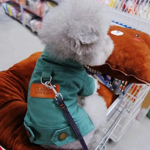 Clothing for dog suit - clothing,