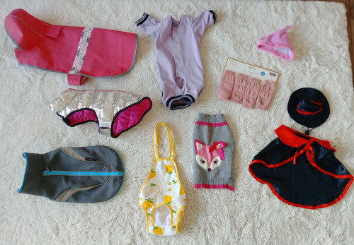 Dog clothing clothes puppy - clothing,