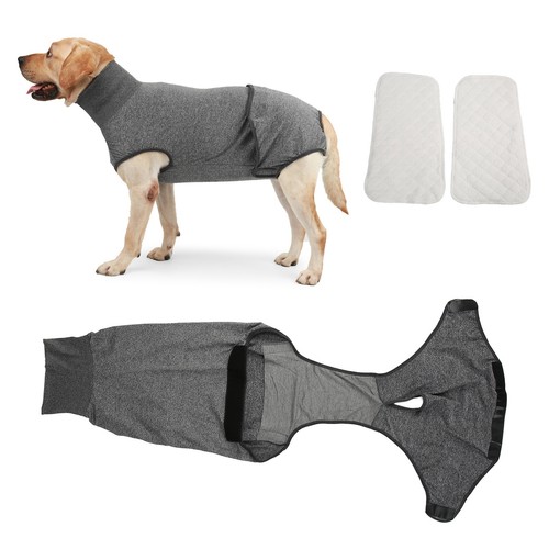 Dog physiological clothing for - physiological,