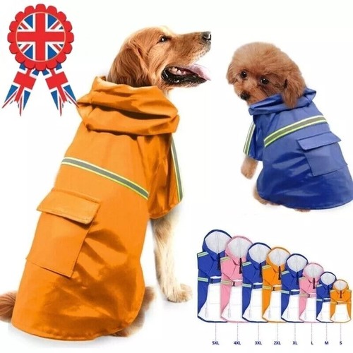 Rain coat pet dog - rain,