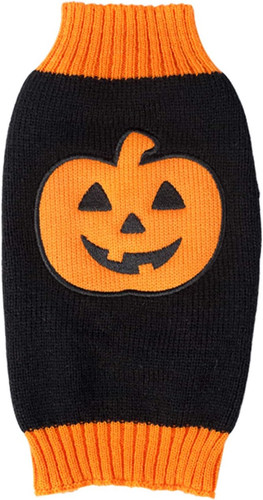 Pet holiday halloween - halloween, pumpkin