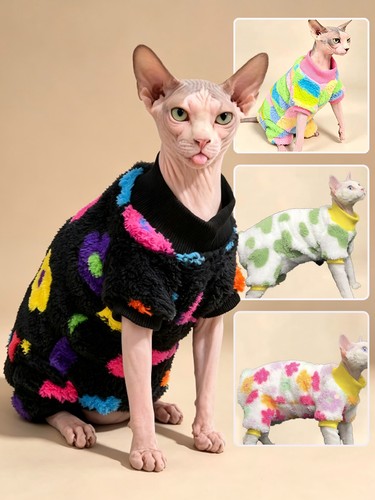 Winter sphynx cat - fluffy, warm