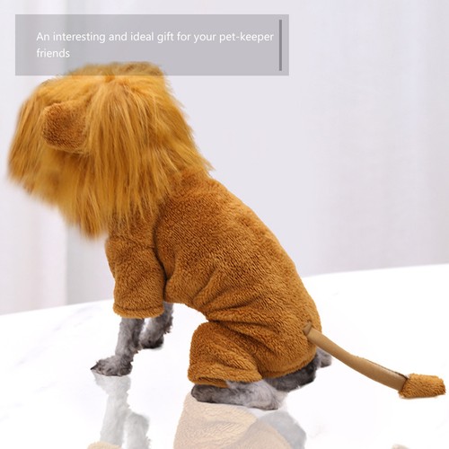 Flannel lion costume for - lion,