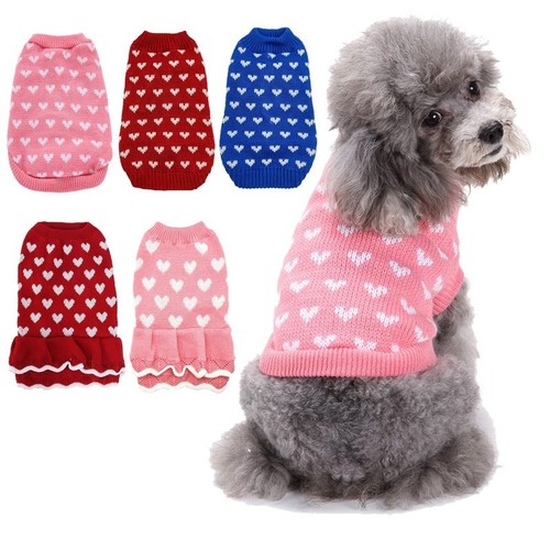 Small pet dog warm - small,