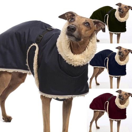 Pet high collar jumper - collar, sweater