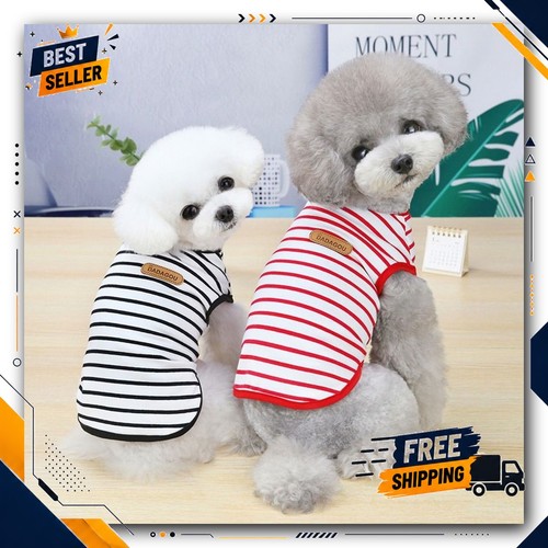 Spring summer dog - summer, clothes