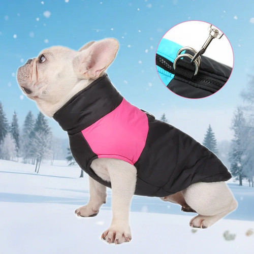 Winter dog coat - warm, padded