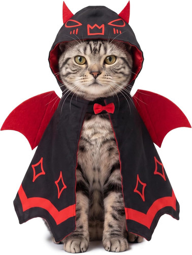 Cat halloween costume funny - halloween,