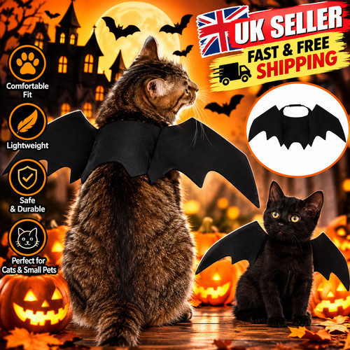 Pet cat dog - cat,