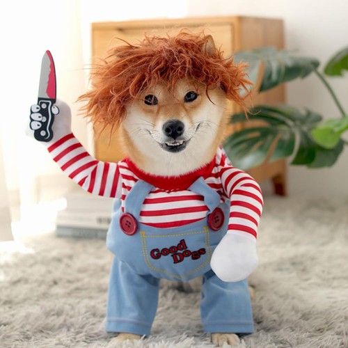 Dog awful pirate - awful,