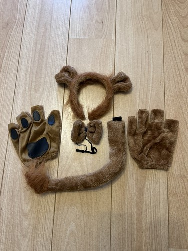 Halloween lion costume - lion, set